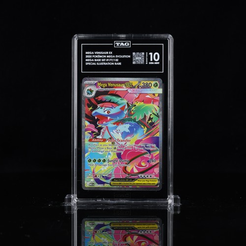 Mega venusaur 2025 - mega, ex