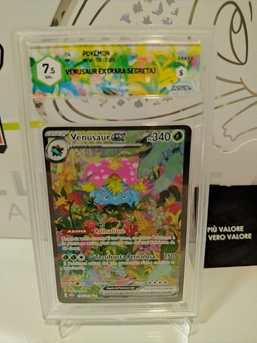 Venusaur 198 165 graad - graad, 7.5